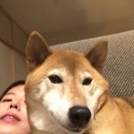 12383212_809207555854896_1551434318_a