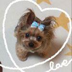 12299015_455856844600118_1654810527_a