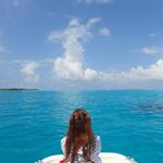 11376195_1643216915950145_1496948253_a