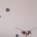 12750364_571905846291285_324560521_a