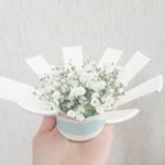 12531014_1789714871262532_1131783178_a