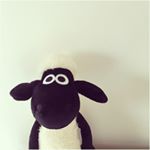 12523592_1540476506266617_1603338763_a