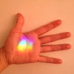 11887041_123953577959149_459440545_a