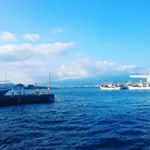 12716525_1524797847816388_807328715_a