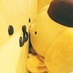 891348_638979222907086_1016267981_a