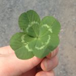 12107602_1651639275094002_1544540719_a