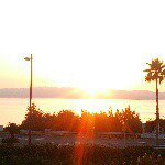 10843989_775839695821792_1022537003_a