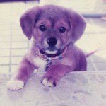 10731453_952427838119250_199041001_a