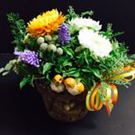 12277429_882407405178784_1862245043_a