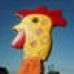 10919309_694055230711790_1812004494_a