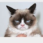 12353345_1630757433837776_189103182_a