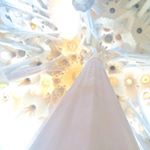 11809729_943771719016503_1897160162_a