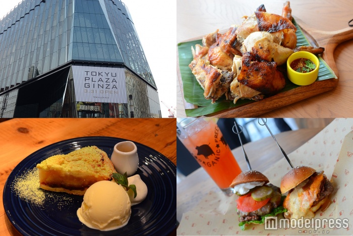 （画像右上より時計回り）SENGDEE TERRACE、Bareburger、GRANNY SMITH APPLE PIE ＆ COFFEE（C）モデルプレス