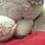 10748050_1548390558747686_1220410946_a