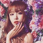 12501665_208402236198946_617029836_a