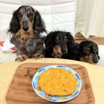 11375797_1474625649504079_1497140019_a