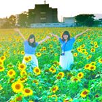 12716890_1679414848999991_828682605_a