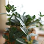 12783509_835098399946033_1060068514_a