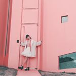 12816876_1683713065251476_1498430285_a