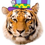 11420834_1065834466792061_858735774_a