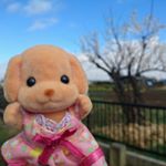 12716715_1045281855528753_2023572506_a