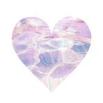 11184495_360551730816131_2074832817_a