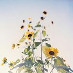 1940987_1520201818301035_1792339347_a