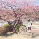 12826035_1072328816156682_27585288_a