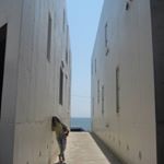 12725114_166030317107361_1126037580_a