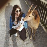 12531087_1063056373751490_45335474_a