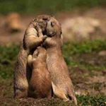 12547560_530176153817338_1245222133_a