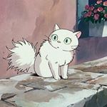 12751059_1570031736656667_1351863803_a