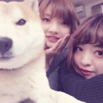 10899010_335532293283784_1236984723_a