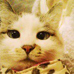 927768_1517248151866500_1445060022_a