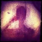 12383264_436594359869432_1454336396_a