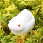 12543345_1510902459212854_1291079363_a