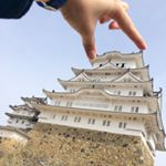 12081237_928744993828088_1447210391_a