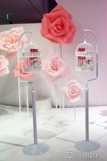 ローズ×鳥かごでおしゃれ度アップ（C）モデルプレス