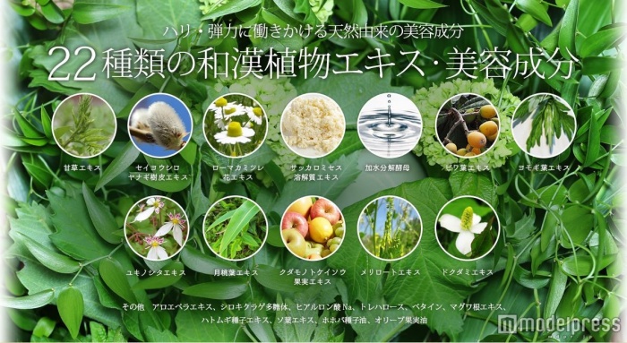 22種類の天然由来の和漢植物エキス・美容成分がお肌優しく潤いを与えてくれる