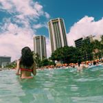 12519365_772890486175789_739545664_a