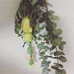 12237492_1015273571828386_1919862845_a