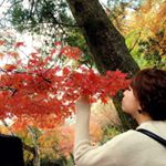 12093423_1019317241422003_832680887_a