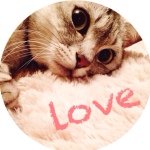 11856813_1665586346997672_1063831751_a