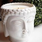 11324524_634791979957068_468646793_a