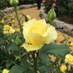 11939567_1762100857352282_901545921_a