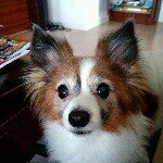 10852573_1750749541817733_870758788_a