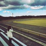 10012598_1671705529749570_355076448_a