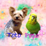 11355038_1464952530467383_88813282_a