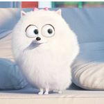 11252657_969099186470927_216052050_a