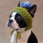 11325078_678753172259553_1480262609_a